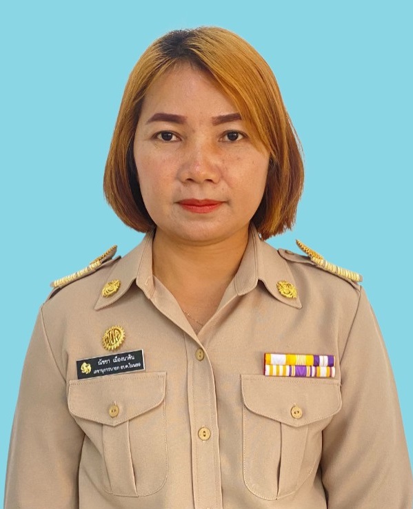 นางสาวณัชชา เมืองนาคิน
เลขานุการนายกองค์การบริหารส่วนตำบลโนนยอ
โทร.098-0544166