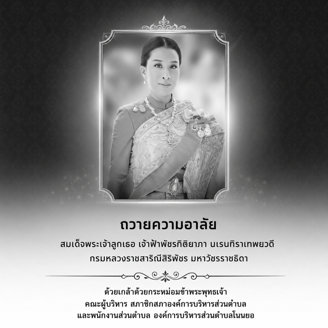 องค์การบริหารส่วนตำบลโนนยอ